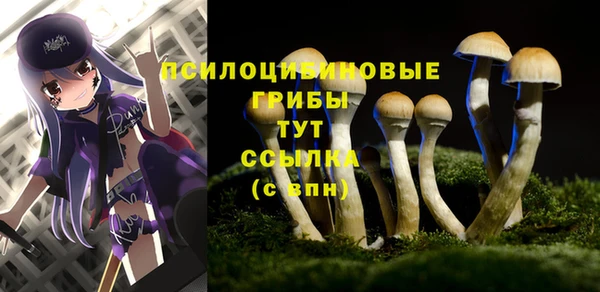 СК Верхний Тагил