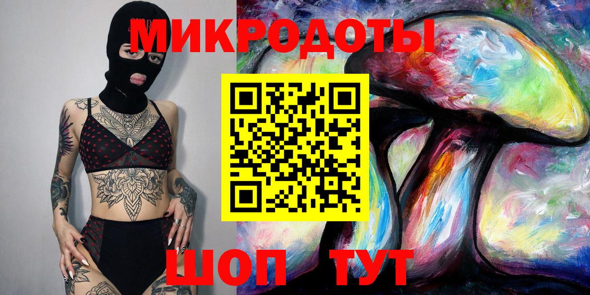 Псилоцибиновые грибы Cubensis  Ессентуки  Галлюциногенные грибы Psilocybine cubensis 