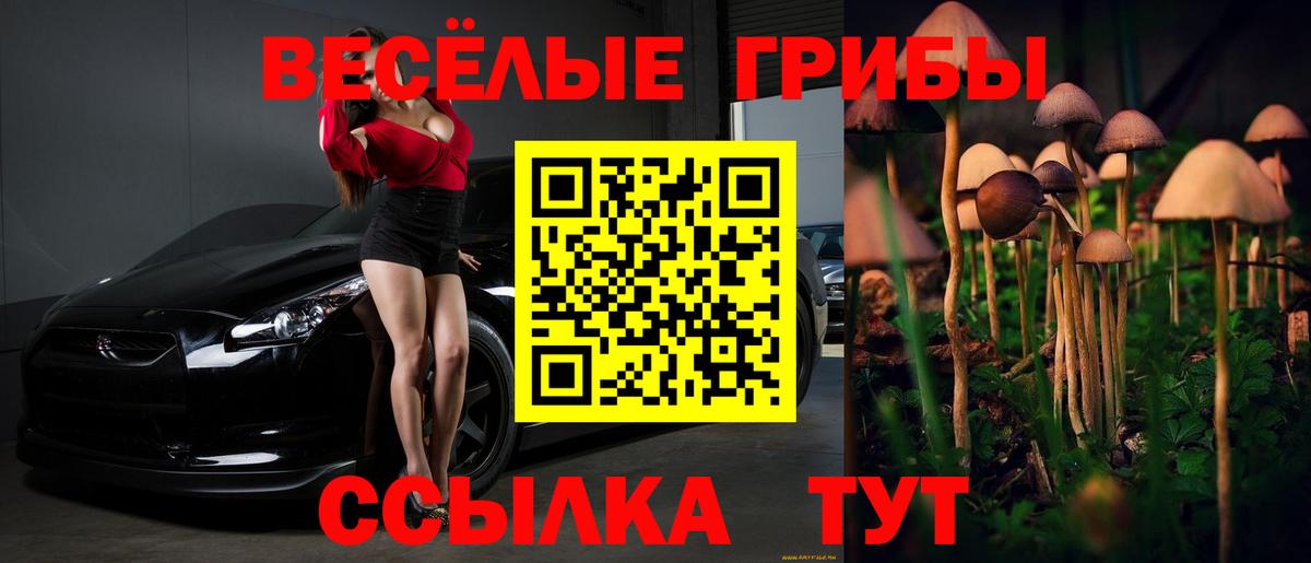 Галлюциногенные грибы Psilocybine cubensis Ессентуки