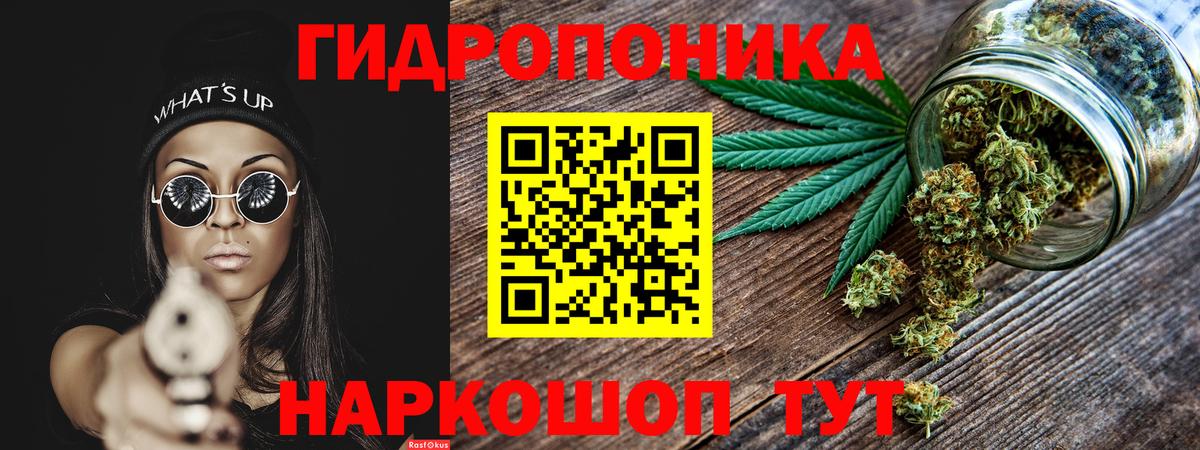 Шишки марихуана планчик Ессентуки